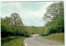 Foret De GLAGEON LA GUEULE DU LOUP En Avesnois  (scan Recto-verso) QQ 1173 - Other & Unclassified