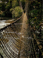 GABON  FRANCEVILLE Pont De Lianes Sur L'Ogooué (scan Recto-verso) QQ 1160 - Gabon