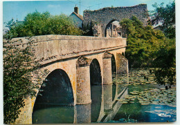 Bonneval : La Porte Et Le Pont De Boisville QQ 1197 - Andere & Zonder Classificatie