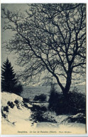 CPA  9 X 14  Isère Le Lac De PALADRU  (hiver)  Phot. Rivière - Paladru