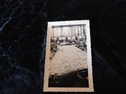 P-473, Photo ,Les Sables D'Olonne, Un Banc De Sardine à La Poissonnerie , 1937 - Lieux