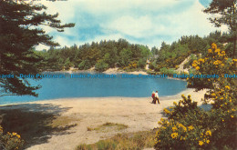 R072609 The Blue Pool. Wareham. Dorset. Jarrold. Cotman Color. 1978 - Welt