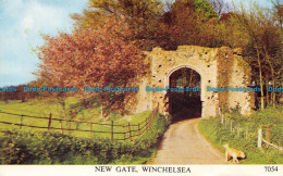 R073254 New Gate. Winchelsea. D. V. Bennett. 1972 - Welt