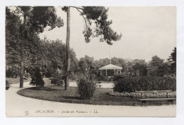 CPA - 33.Arcachon. Jardin Des Palmiers - Arcachon