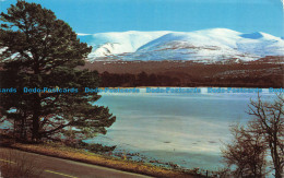 R073612 The Snow Clad Cairngorm Mountains From Across Loch Morlich. 1972 - Monde