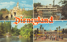 R073283 Disneyland. Multi View - Monde