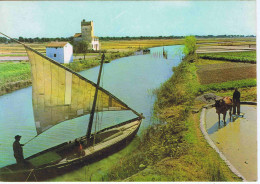 ESPAGNE - VALENCIA - Canal De La Albufera ( Animation - Bateau ) - Postales Durà Velasco - Serie 19 - N° 641 - Otros & Sin Clasificación