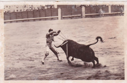 CORRIDA - Courses De Taureaux - Pose De Banderilles Au Cuarto - Stierkampf