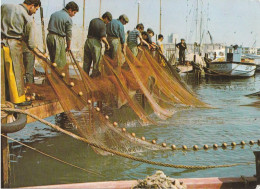 Scène De Pêche En Méditerranée - Nettoyage Des Filets Après La Pêche - Pêche