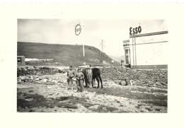 Photo 10.5 X 7.2 Andorre Port D' Envalira Juillet 1958 Station Service Esso - Lugares