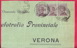 ANNULLO TONDO FRAZIONARIO DC "S. GIOVANNI ILARIONE*20.3.29*/(68-169)" SU FRONTESPIZIO - Storia Postale