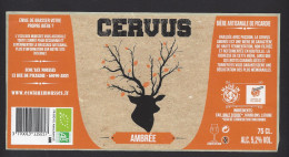 Etiquette De Bière Ambrée   -  Cervus -  Brasserie Ecol'aux Mousses  à  Arsy  (60) - Beer