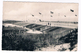 D-17160  SANKT-PETER-ORDING : Buhne Und Brücke - St. Peter-Ording