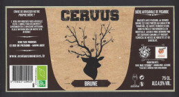 Etiquette De Bière Brune   -  Cervus -  Brasserie Ecol'aux Mousses  à  Arsy  (60) - Cerveza