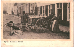 CPA Carte Postale Belgique Ypres Marchand De Lait  Attelage De Chiens  Début 1900 VM80605ok - Ieper