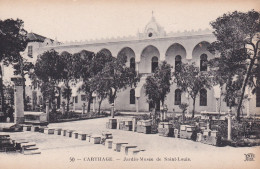 Tunisie, Carthage, Jardin-Musée De Saint Louis - Tunisie