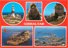 Gibraltar - Multivues - Singes - Phare - CPM - Voir Scans Recto-Verso - Gibilterra