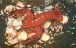 Recettes De Cuisine - Atlantic Coast Lobster - Gastronomie - CPM - 14 X 9 Cms - Carte Neuve - Voir Scans Recto-Verso - Recettes (cuisine)