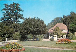 88 - Bains Les Bains - La Potinière Et Un Coin Du Parc - Fleurs - CPM - Voir Scans Recto-Verso - Bains Les Bains