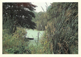 79 - Arçais - Paysage Maraîchin - Marais Poitevin - Venise Verte - Carte R3M Voyages - Carte Neuve - CPM - Voir Scans Re - Other & Unclassified