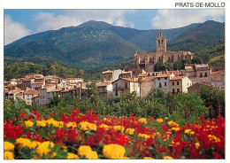 66 - Prats De Mollo - La Preste - Vue Générale Devant Un Massif De Fleurs Aux Couleurs Catalanes - CPM - Voir Scans Rect - Andere & Zonder Classificatie