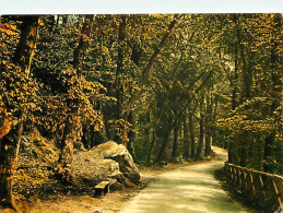 61 - Bagnoles De L'Orne - Allée Du Dante - CPM - Voir Scans Recto-Verso - Bagnoles De L'Orne