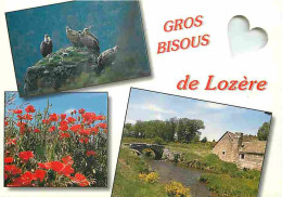 48 - Lozère - Multivues - Oiseaux - Vautours - Fleurs - CPM - Voir Scans Recto-Verso - Autres & Non Classés