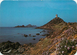 20 - Ajaccio - L'alignement Des îles Sanguinaires Et La Riche Végétation Fleurie De La Pointe Parata - CPM - Voir Scans  - Ajaccio