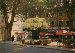 13 - Salon De Provence - La Place Crousillat - La Fontaine Moussue - CPM - Voir Scans Recto-Verso - Salon De Provence