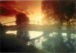 03 - Vichy - Coucher De Soleil Sur Le Pont Japonais - Carte Neuve - CPM - Voir Scans Recto-Verso - Vichy