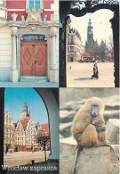 Animaux - Singes - Pologne - Polska - Wroclaw Zaprasza - Multivues - Babouin - Carte Neuve - CPM - Voir Scans Recto-Vers - Monkeys