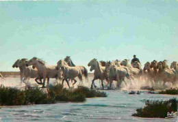 Animaux - Chevaux - Camargue - Chevaux Camarguais Dans Les Marais - Gardians - Voir Scans Recto Verso  - Horses