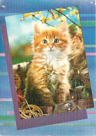 Animaux - Chats - Chatons - Etat Trous De Punaises Visibles - CPM - Voir Scans Recto-Verso - Chats