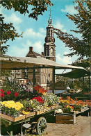 Pays-Bas - Nederland - Amsterdam - CPM - Voir Scans Recto-Verso - Amsterdam