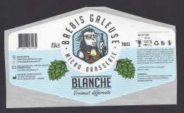 Etiquette De Bière Blanche   -  Brasserie Brebis Galeuse  à  Roëllecourt  (62) - Beer