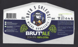 Etiquette De Bière DDH IPA   -  Brut'Ale  -  Brasserie Brebis Galeuse  à  Roëllecourt  (62) - Cerveza