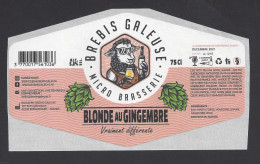 Etiquette De Bière Au Gingembre  -  Brasserie Brebis Galeuse  à  Roëllecourt  (62) - Bière