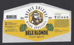 Etiquette De Bière Bèle Blonde  -  Brasserie Brebis Galeuse  à  Roëllecourt  (62) - Beer