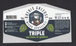 Etiquette De Bière Triple Aux Baies De Genièvre  -  Brasserie Brebis Galeuse  à  Roëllecourt  (62) - Beer