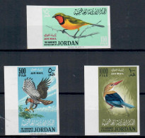 JORDAN JORDANIE GIORDANIA 1964 UCCELLI BIRDS OISEAUX VOGEL SERIE COMPLETA NON DENTELLATA MNH/** - Jordanie