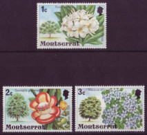 Amérique - Montserrat - Flore - 3 Timbres Différents - 7324 - Otros - América