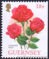 Guernsey 1997, Mi. 727 Dr ** - Guernesey