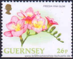 Guernsey 1997, Mi. 728 Du ** - Guernesey