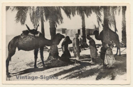 Algeria: Caravane Au Repos /  Camels - Nomads (Vintage RPPC 1920s/1930s) - Scènes & Types