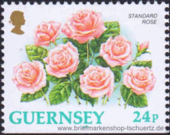 Guernsey 1993, Mi. 604 Du ** - Guernsey