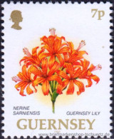 Guernsey 1993, Mi. 601 A ** - Guernesey