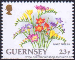 Guernsey 1992, Mi. 563 Du ** - Guernesey