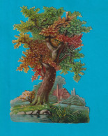 Superbe Chromo Decoupis Gaufré Embossed Grand Format Arbre  Majestueux Maison Circa 1890 Automne - Sonstige & Ohne Zuordnung