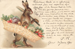 LAPIN LIEVRE #FG57234 LAPIN HUMANISE AVEC UN PANIER DE LEGUMES - Andere & Zonder Classificatie