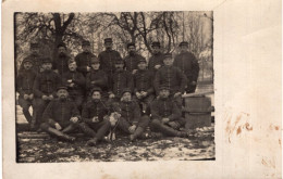 Carte Photo D'un Officier Et Des Sous-officiers Francais Avec Leurs Chien A L'arrière Du Front En 14-18 - Krieg, Militär